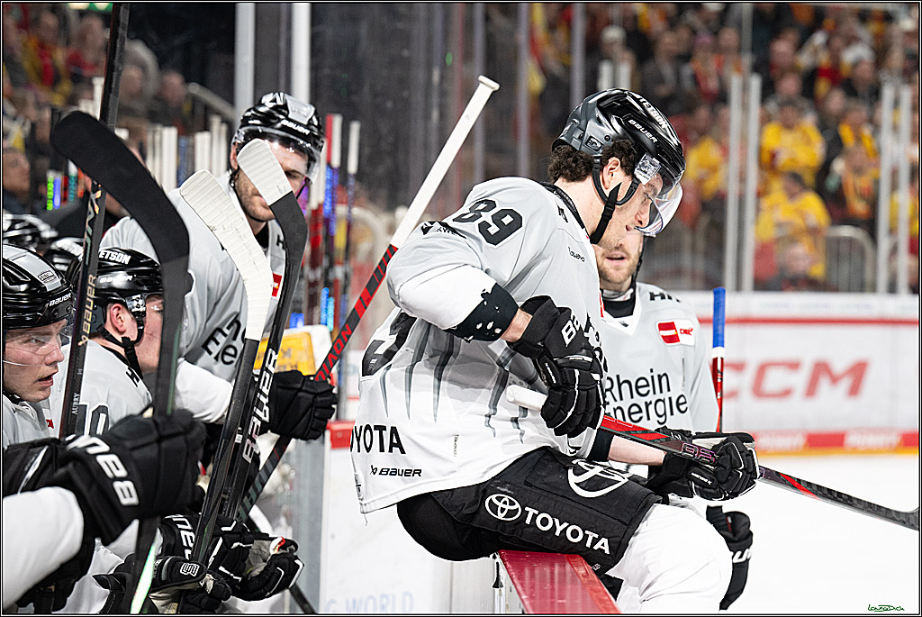 PENNY DEL; Duesseldorfer EG- Koelner Haie; Duesseldorf, 24.01.2025